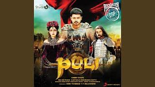 Puli Promo