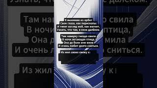 век современной поэзии