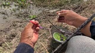 I went fishing in the natural lake for fun