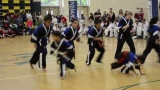 Kickside Martial Arts -- Hillsborough Demo