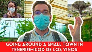 WHAT CAN YOU SEE AROUND A SMALL TOWN IN TENERIFE - ICOD DE LOS VINOS