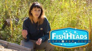 Turtle Nesting Boxes | Fish Talk with Leo | Parks Canada