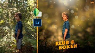 How to Create BLUR with BOKEH Background in SNAPSEED and LIGHTROOM Apps | Android | iPhone