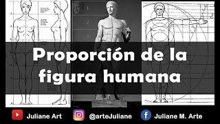 PROPORCIÓN del cuerpo humano/ Figura humana/ Anatomía artística / Clases de arte para principiantes