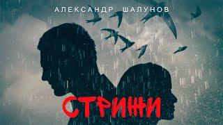 Александр Шалунов  Стрижи Lyric Video