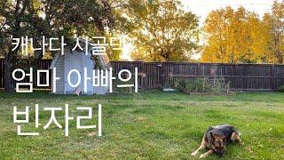 [Eng]캐나다 일상-코로나 속 캐나다 공립학교 개학|반려견과 놀아주기|My dog’s post Covid19 life! Mom and Dad went back to work!