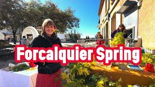 Inside Provence's Oldest Farmers Market l Forcalquier 2024 - Interviewing Vendors & Locals