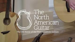 Avian Falcon Deluxe Rosewood Electro Acoustic Guitar Played by Will McNicol (Part One)