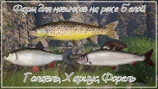 Фарм для новичков (хариус, форель, голавль) - река Белая - РР4┃maXS1k