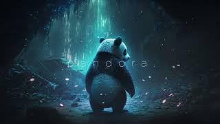 best of pandora. ambient remixes (playlist) (slowed reverb)