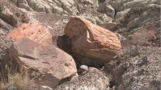 Petrified Forest National Park 3-minute Tour