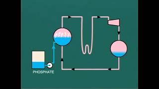 Lesson 9|| Reduce Phosphate in the Boiler water