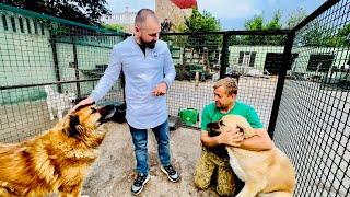 Олег Зубков и доктор Василий уговаривают спасенных собак из Донецка СЪЕСТЬ ЛЕКАРСТВО!