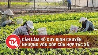 Góp ý dự án Luật Hợp tác xã (sửa đổi): Cần làm rõ quy định chuyển nhượng vốn góp của hợp tác xã