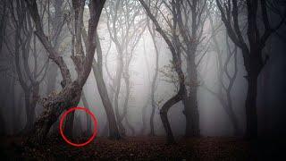 The Eerie Echoes: Hoia-Baciu, Romania's Most Haunted Forest