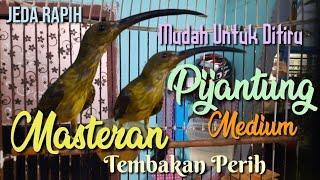 MASTERAN PIJANTUNG MEDIUM Gacooor Door || Suara Tembakan Periiiih!!!! Yang Disukai Para Juri.