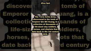 Fun facts you didnt know #Terra Cotta Army #shorts