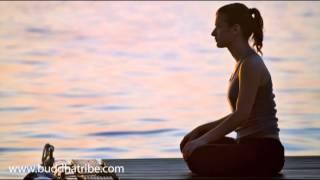 Insight Meditation: Calming and Relaxing Music for Mindfulness Exercises & Mindful Meditation
