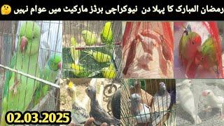 New Karachi Birds Market Sector 5-F Sunday 02-03-2025|Sunday Bird Market Karachi| lovepetsa