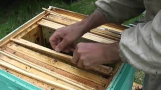 ДВУХМАТОЧНОЕ ПЧЕЛОВОДСТВО В ЛЕЖАКАХ