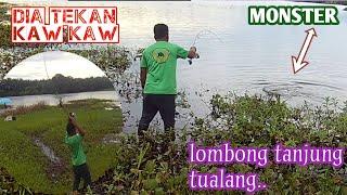 Mancing lombong tanjung tualang || di asak ikan lombong || dia tekan padu. #ikanlombong #ikanmonster