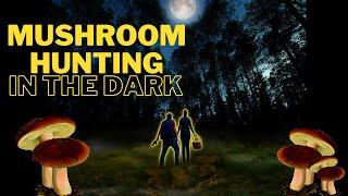 Basic Mushroom Hunting Tips + MUSHROOM HUNTING IN THE DARK