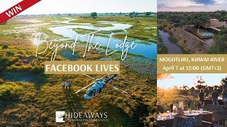 Beyond the Lodge LIVE - Hideaways Mogotlho Safari Lodge + WIN A SAFARI GETAWAY FOR TWO!