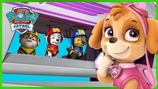 终极救援：拯救白虎 - PAW Patrol 汪汪队立大功 - 儿童卡通