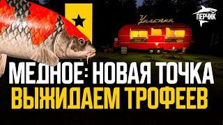 Высиживаем трофейных карпов на оз. Медном ● Русская рыбалка 4 ● Перчик РР4