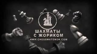 Школа - Шахматы с Жориком