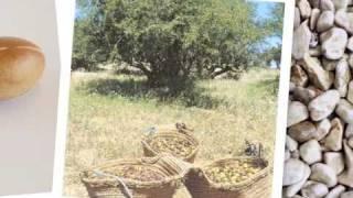 Argan Trees & Production of Argan Oil