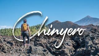 Wanderung um den Vulkan Chinyero | VLOG #132 | TENERIFFA 