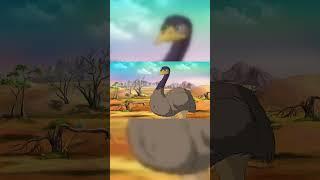 Discover Amazing Ostrich  #kidslearning #animalfacts #funlearning