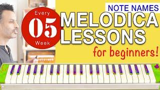 Melodica Lessons for Beginners [5] 'Note names'