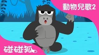 大猩猩 | 動物兒歌2 | 2018 | 碰碰狐Pinkfong