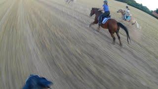 [Gopro] Galopp auf dem Stoppelfeld