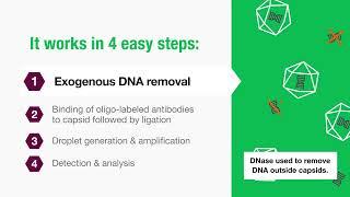 How it Works: Vericheck ddPCR Empty-Full Capsid Kit