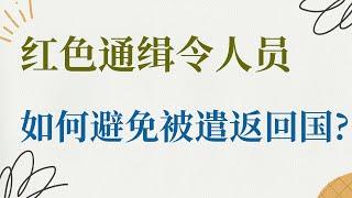 上了红通名单怎么办？｜红色通缉令人员，怎么避免被追逃遣返回国？