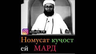 Устод Абу Убайдулло Мутаввакил