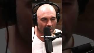 Joe Rogan: Dogs hate chickens.. (part 1) #joerogan #podcast #shorts