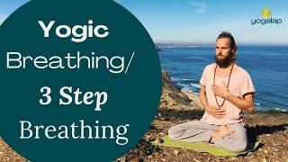 Yogic Breathing/3 Step Breathing | Breathwork session with Michaël Bijker