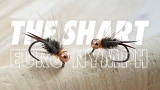 How To Tie My Top Euro Nymphing Fly Pattern, The Shart // Prince Nymph Variation