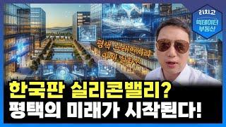 [체험 부동산 현장] 평택 브레인시티, 진짜 실리콘밸리 될 수 있을까? (1부)┃부동산, 아파트