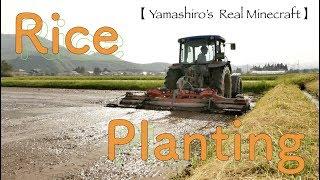 【Real Minecraft】Rice Planting in Japan part 4 【Soil Puddling】