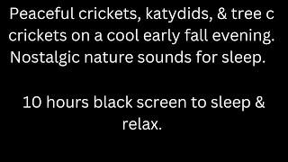 Peaceful autumn crickets, katydids, tree crickets, black screen sleep & relax 10 hour cricket sounds