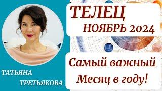 ТЕЛЕЦ - ГороскопНОЯБРЬ 2024. Самый важный месяц в году. Астролог Татьяна Третьякова