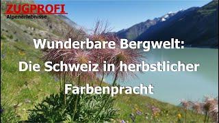 ZUGPROFI - Wunderbare Bergwelt: Die Schweiz in herbstlicher Farbenpracht