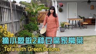 Pick some green onions and make 2  delicious tofu dishes! So delicious!