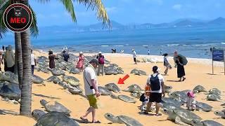 Incredible Moments Caught on Camera  (P136)