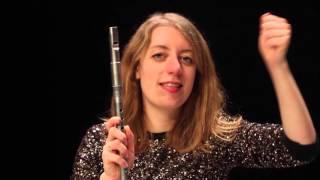 Tin Whistle/Low Whistle - Unusual Techniques